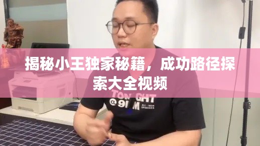 揭秘小王獨家秘籍，成功路徑探索大全視頻