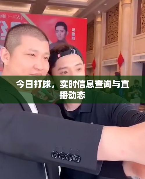 今日打球，實(shí)時信息查詢與直播動態(tài)