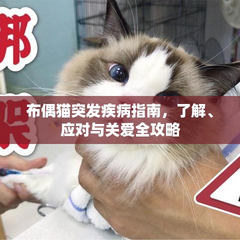 功名富貴 第2頁