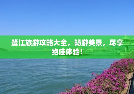 鷺江旅游攻略大全，暢游美景，盡享絕佳體驗(yàn)！