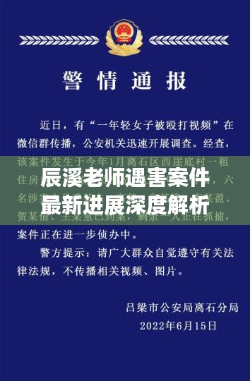 辰溪老師遇害案件最新進(jìn)展深度解析，事件視頻曝光與影響探究