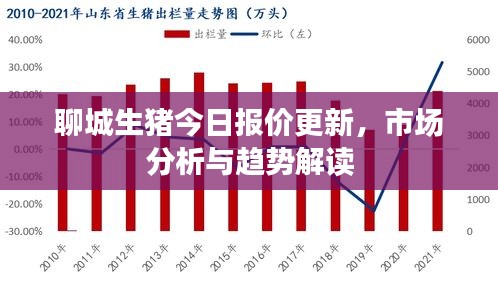 聊城生豬今日報價更新，市場分析與趨勢解讀