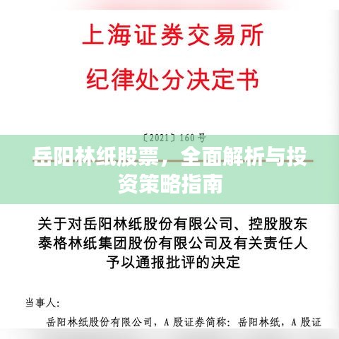 岳陽(yáng)林紙股票，全面解析與投資策略指南