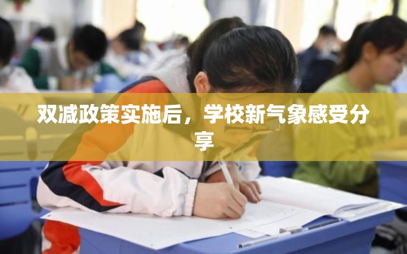雙減政策實(shí)施后，學(xué)校新氣象感受分享