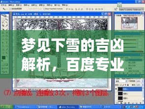 夢(mèng)見下雪的吉兇解析，百度專業(yè)解讀您的夢(mèng)境之謎