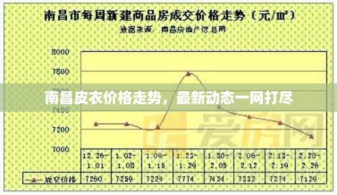 南昌皮衣價格走勢，最新動態(tài)一網(wǎng)打盡