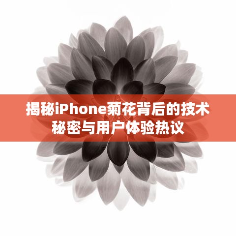 揭秘iPhone菊花背后的技術(shù)秘密與用戶體驗熱議