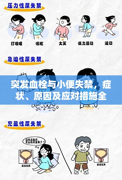 突發(fā)血栓與小便失禁，癥狀、原因及應(yīng)對(duì)措施全解析