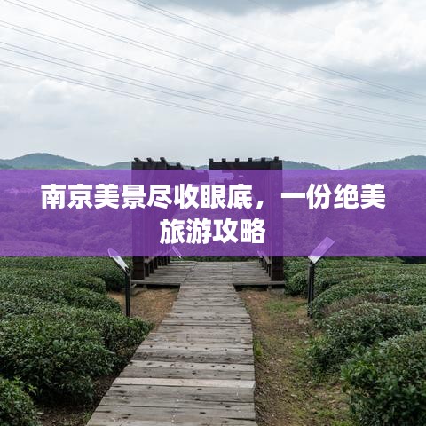 南京美景盡收眼底，一份絕美旅游攻略