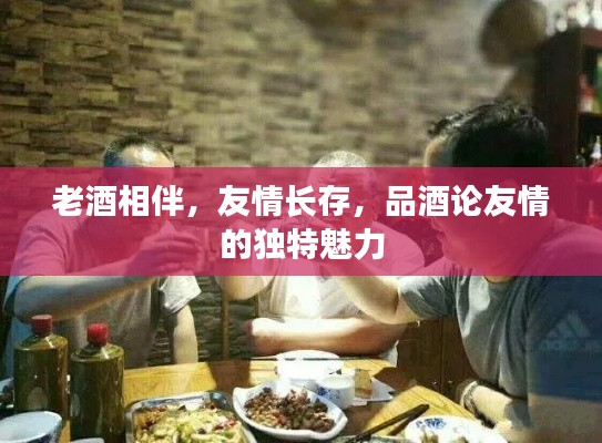 老酒相伴，友情長(zhǎng)存，品酒論友情的獨(dú)特魅力