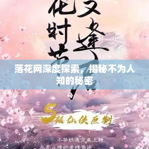 落花網(wǎng)深度探索，揭秘不為人知的秘密