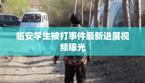 臨安學(xué)生被打事件最新進展視頻曝光