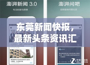 東莞新聞快報(bào)，最新頭條資訊匯總