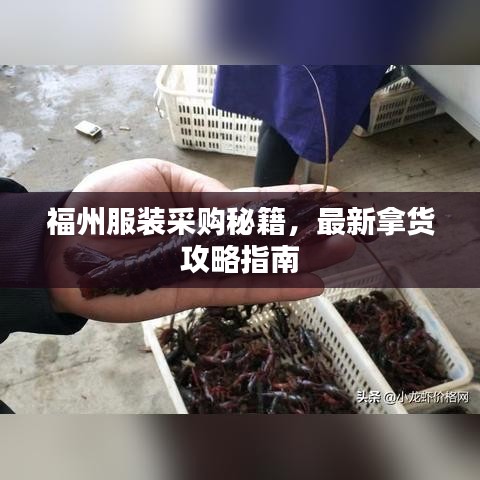 福州服裝采購(gòu)秘籍，最新拿貨攻略指南