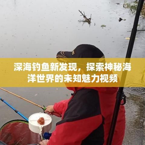 深海釣魚新發(fā)現(xiàn)，探索神秘海洋世界的未知魅力視頻