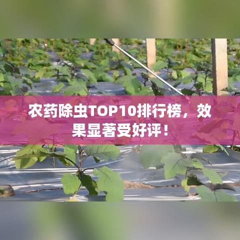 2025年5月 第33頁(yè)