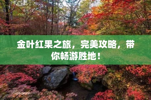 金葉紅果之旅，完美攻略，帶你暢游勝地！