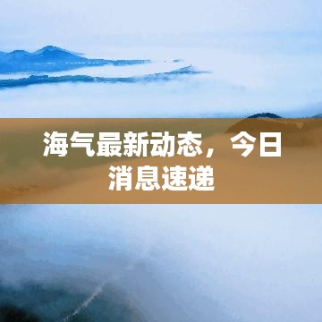 海氣最新動態(tài)，今日消息速遞