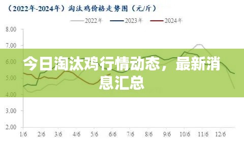 今日淘汰雞行情動態(tài)，最新消息匯總