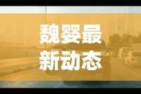 2025年5月 第13頁(yè)