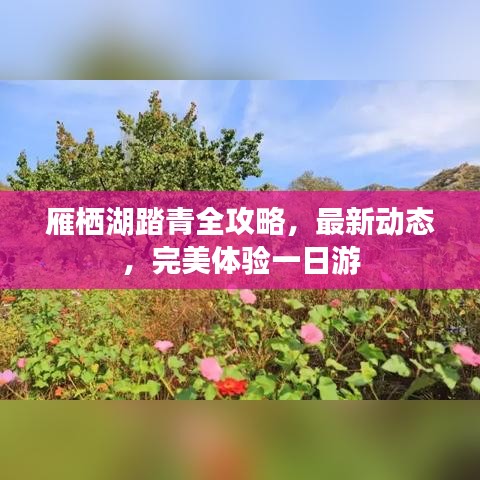 雁棲湖踏青全攻略，最新動(dòng)態(tài)，完美體驗(yàn)一日游