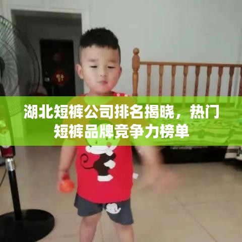 湖北短褲公司排名揭曉，熱門短褲品牌競爭力榜單
