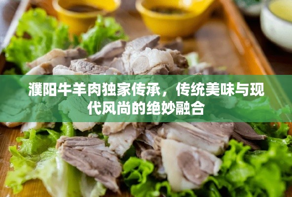 濮陽(yáng)牛羊肉獨(dú)家傳承，傳統(tǒng)美味與現(xiàn)代風(fēng)尚的絕妙融合