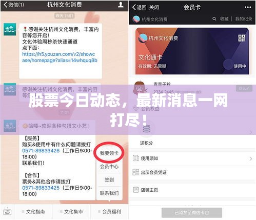 股票今日動(dòng)態(tài)，最新消息一網(wǎng)打盡！