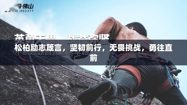松柏勵志箴言，堅韌前行，無畏挑戰(zhàn)，勇往直前