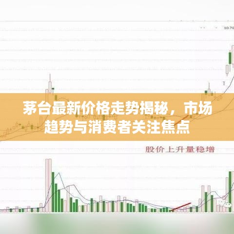茅臺最新價格走勢揭秘，市場趨勢與消費者關注焦點