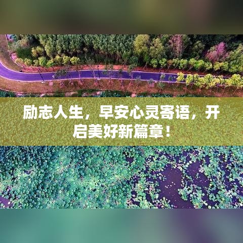 2025年6月1日 第2頁(yè)