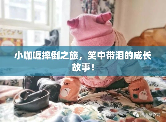 小咖喱摔倒之旅，笑中帶淚的成長(zhǎng)故事！