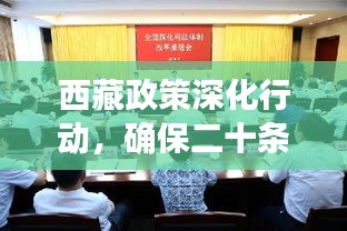 西藏政策深化行動，確保二十條措施落地生根，成效顯著矚目