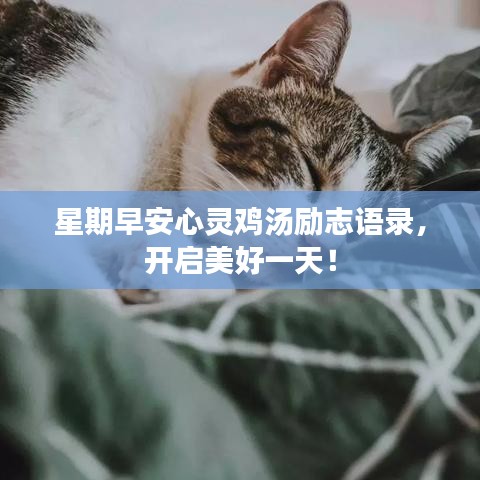 星期早安心靈雞湯勵志語錄，開啟美好一天！