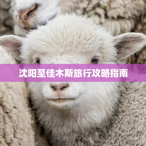沈陽(yáng)至佳木斯旅行攻略指南