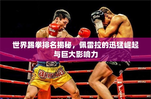 世界踢拳排名揭秘，佩雷拉的迅猛崛起與巨大影響力