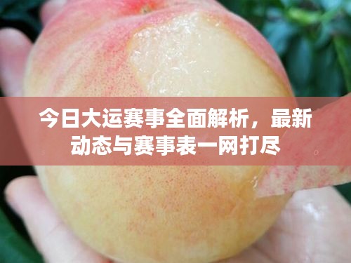 今日大運賽事全面解析，最新動態(tài)與賽事表一網(wǎng)打盡