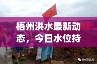 梧州洪水最新動態(tài)，今日水位持續(xù)上漲