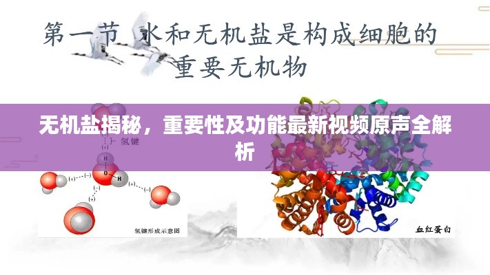 無機鹽揭秘，重要性及功能最新視頻原聲全解析