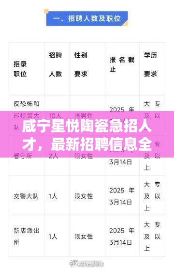 咸寧星悅陶瓷急招人才，最新招聘信息全解析