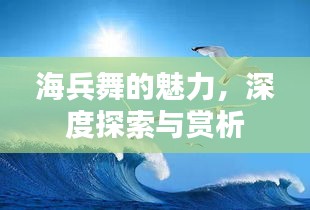 海兵舞的魅力，深度探索與賞析