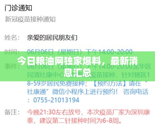 2025年6月7日