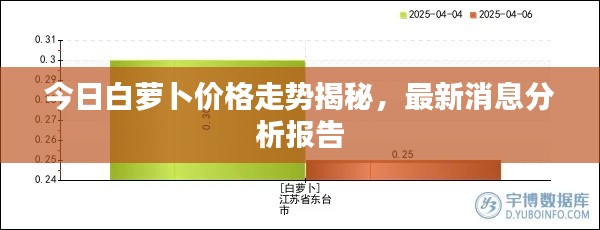 今日白蘿卜價格走勢揭秘，最新消息分析報告