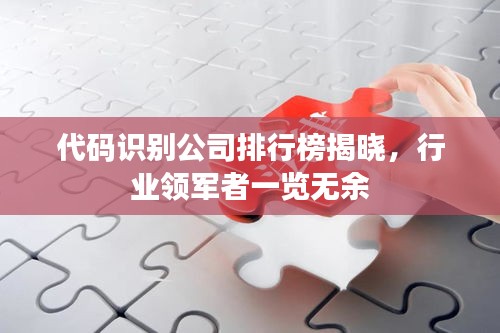 代碼識別公司排行榜揭曉，行業(yè)領(lǐng)軍者一覽無余