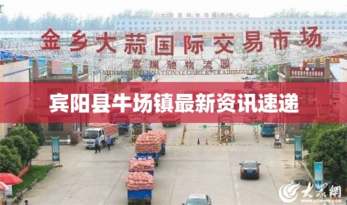 賓陽縣牛場鎮(zhèn)最新資訊速遞