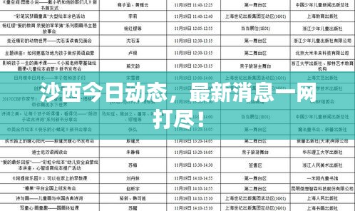 沙西今日動態(tài)，最新消息一網(wǎng)打盡！
