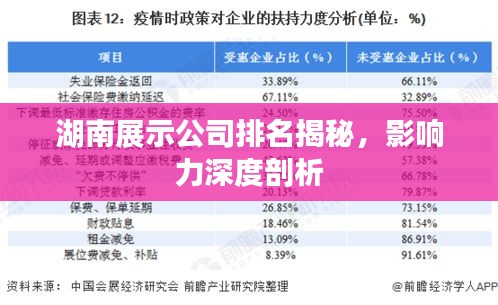 湖南展示公司排名揭秘，影響力深度剖析