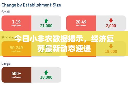 今日小非農(nóng)數(shù)據(jù)揭示，經(jīng)濟(jì)復(fù)蘇最新動(dòng)態(tài)速遞