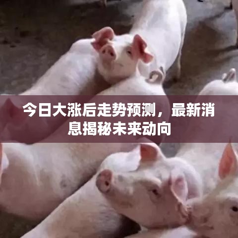 今日大漲后走勢預測，最新消息揭秘未來動向
