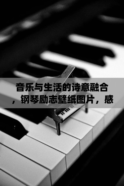 音樂與生活的詩意融合，鋼琴勵志壁紙圖片，感受美好瞬間